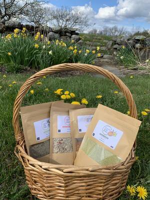 Ulli's Protein Variety Pack - Pumpkin, Hemp, Camelina, Sunflower-Chili